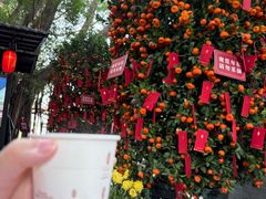 -侨美·唐荔园·40年地道粤菜