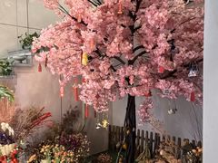 -猫窝棋牌(尚大国际店)