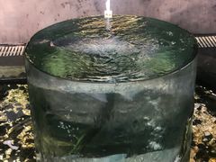 -王家渡火锅(三苏祠店)