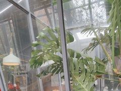 -肴约·花园式餐厅(湖里店)