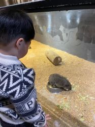 -酷嗒动物文化乐园(cutezoo西溪乐天城店)