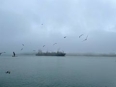 -海驴岛(荣成市)