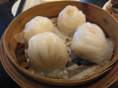 添运来虾饺皇-添运来(茶园奥园广场店)