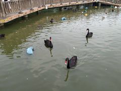 -无锡动物园·太湖欢乐园