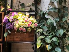 -杨小贤(五店市店)