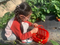 -兴芮温泉度假区