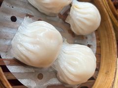 -金苑海鲜酒家(新港中路店)