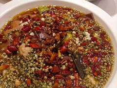 -刘胖子家常菜·蹄花焖藕(中南店)