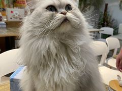 -小时光咖啡馆(北锣鼓巷店)