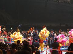 -广州长隆国际大马戏