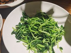 -金枝玉叶上海人家食府(三里河店)