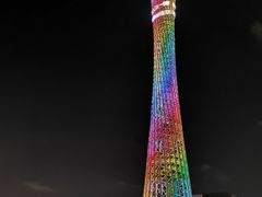 -珠江夜游天字码头