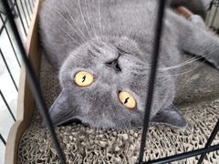 -鑫雅居公寓(广州南站地铁站店)