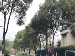 -绿城千岛湖喜来登度假酒店