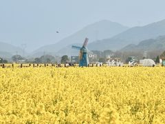 -妈妈菜舟山海鲜(定海古城店)