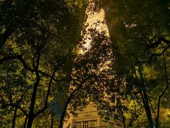 -宝石山