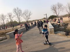 -东郊湿地公园