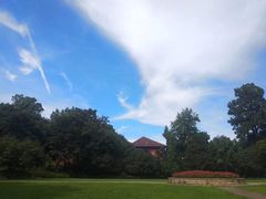 -之江大学-旧址