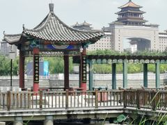 -莲花池公园