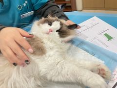 -美迦爱-牙专科·兔科·骨科诊疗中心(北苑店)
