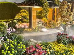 -杭州植物园
