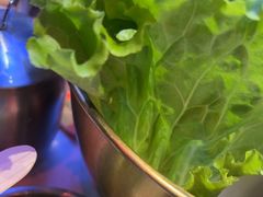 -杨记齐齐哈尔烤肉(总店)