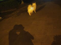 -南昌青山湖风景区