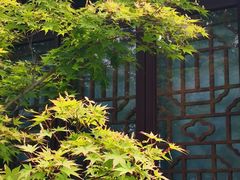 -枫桥景区