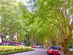 -浙江大学(玉泉校区)