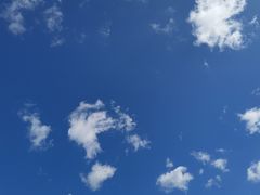 -御道口草原森林风景区
