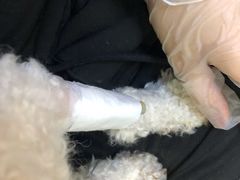 -达爱动物医院·犬猫分区·CT·复杂眼科(远洋山水分院)