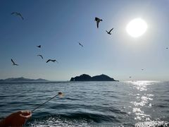 -海驴岛(荣成市)