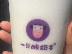 -一只酸奶牛(八一路店)