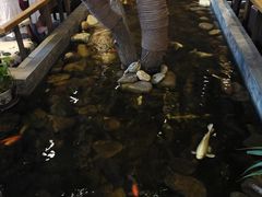 -山有花啡餐厅(常营总店)