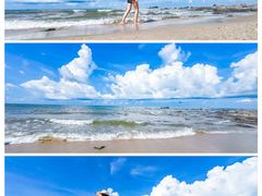 -北海金海湾红树林生态旅游区