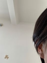 -花师傅