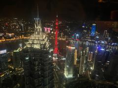 -The lounge 柏悦酒店大堂酒廊(上海环球金融中心店)