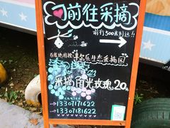 -武汉紫薇都市田园