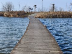 -盐城丹顶鹤湿地生态旅游区