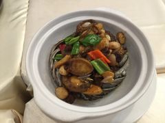 -明珠海港大酒店