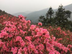 -木兰云雾山