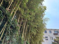 -戏马台景区