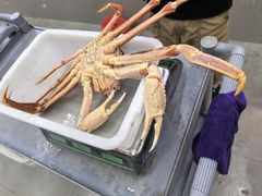-本达人海鲜烧烤·朝鲜族风味(发展店)