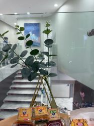 -上海漾颜医疗美容