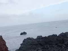 -涉地可支