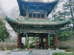 -迎泽公园