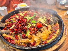 -老板恋上鱼(印象城店)