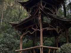 -青城山