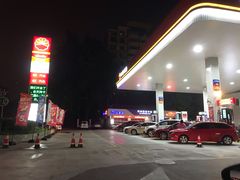 -中国石油加油站(严桥路站)