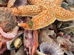 -永红源啤酒·烧烤·海鲜·大排档(青特城店)